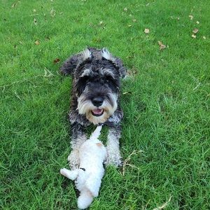 Meet your Posher, Cindi